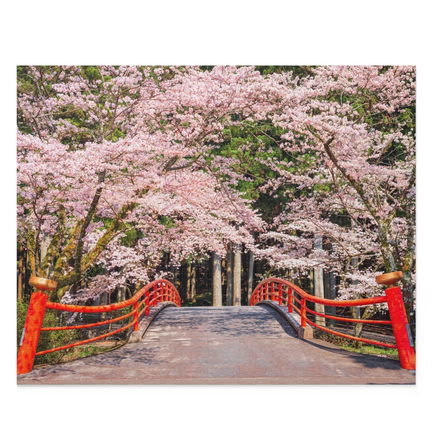 Kamijo Shizuoka Cherry Blossoms Jigsaw
