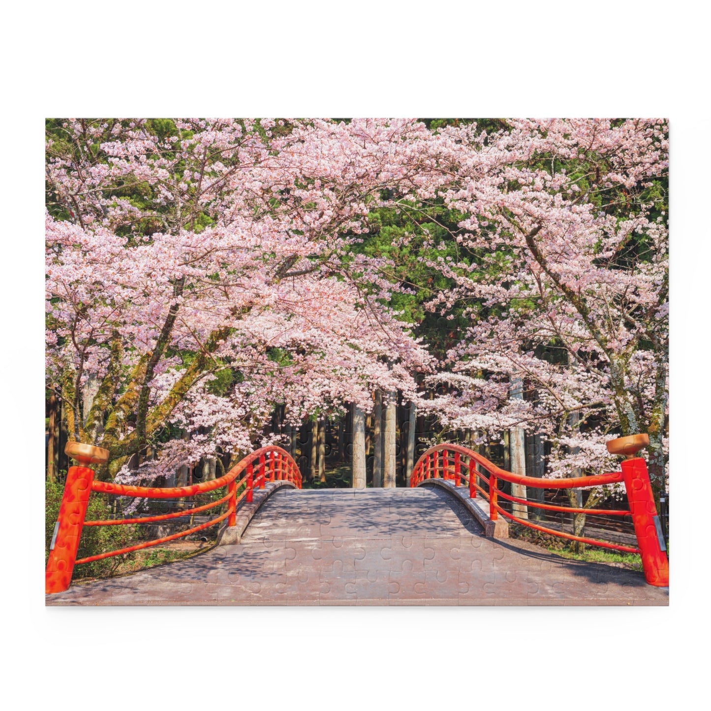 Kamijo Shizuoka Cherry Blossoms Jigsaw