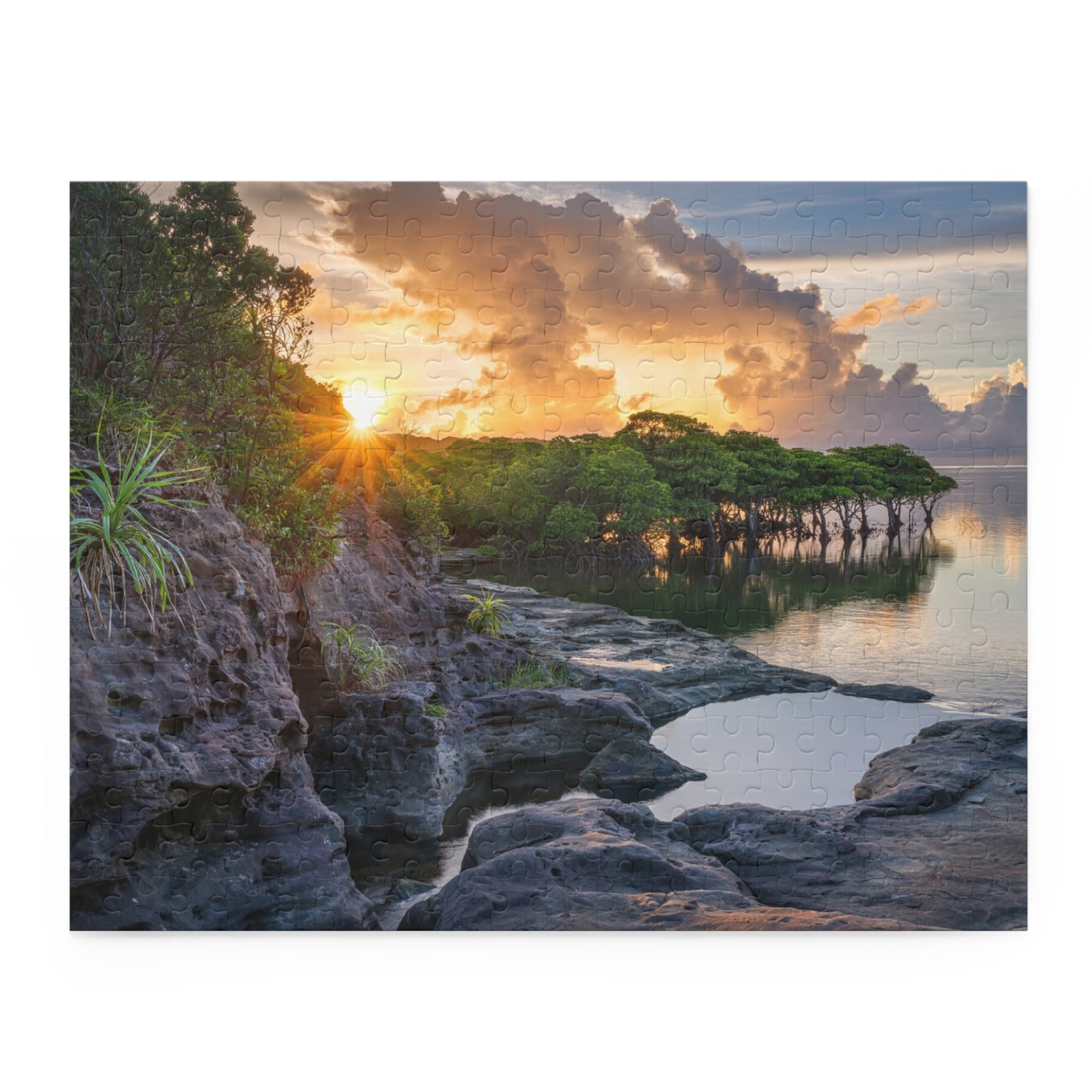 Japan Coastal View Jigsaw