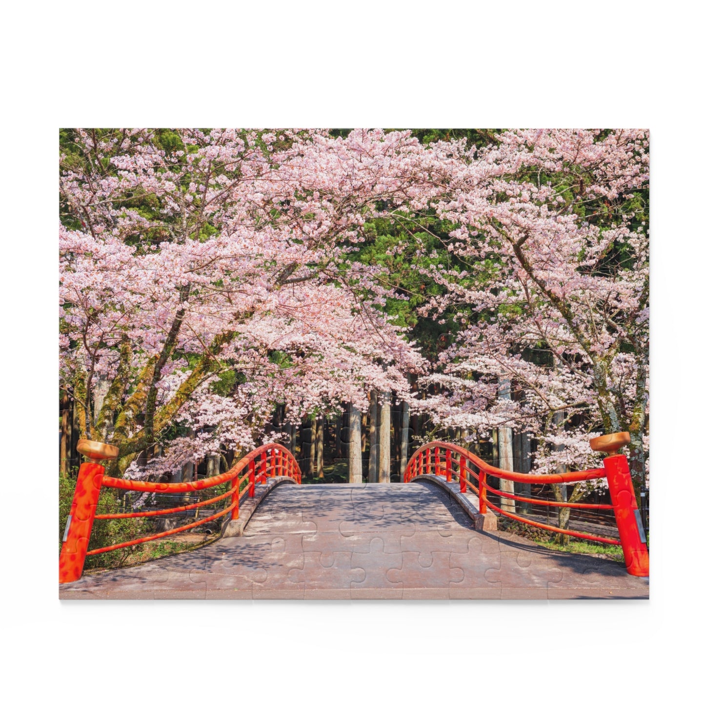 Kamijo Shizuoka Cherry Blossoms Jigsaw