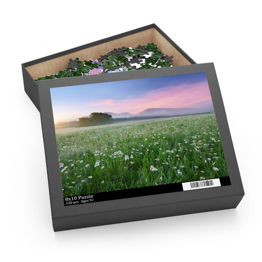 Camomile Meadow In The Spring Jigsaw